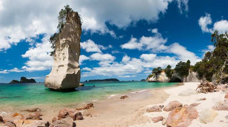 Visit the Coromandel Peninsula in New Zealand in December.