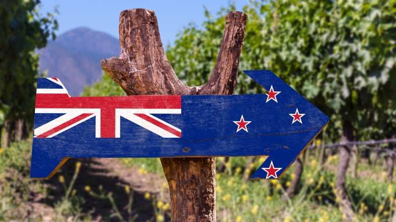Navigate your way with road signs in wineries in New Zealand in October.