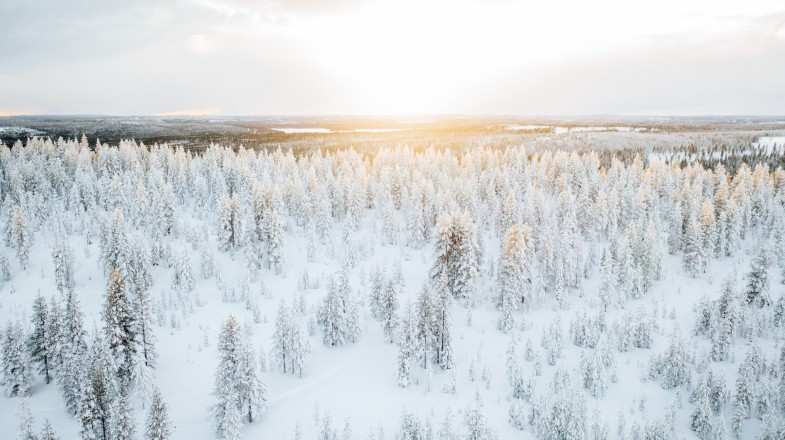 Spend 5 days in Finland and explore this winter wonderland at a brisk pace.