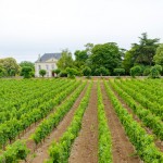 Loire Valley Wine Region
