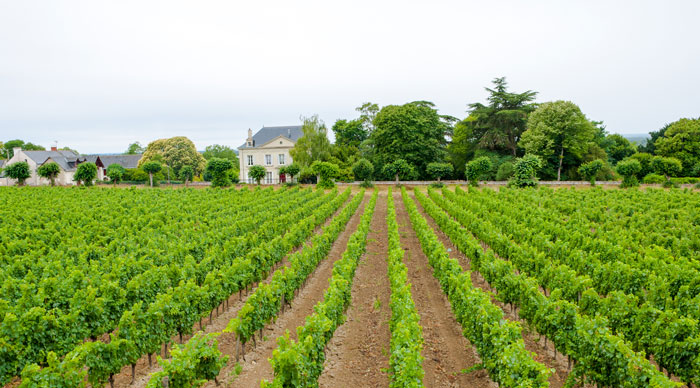 Loire Valley Wine Region