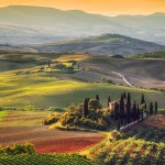 Tuscany Wine Region