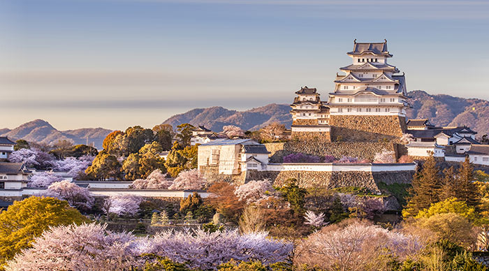 Japan Himeji castle White Heron Castle in beautiful sakura cherry blossom season
